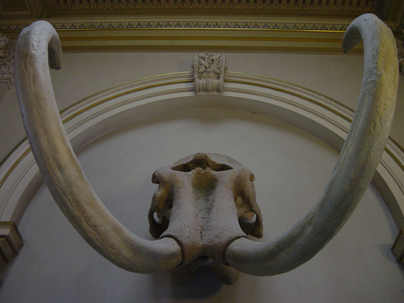 museums in prague